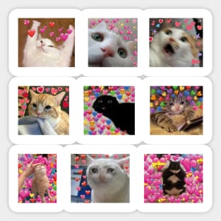 cute cat memes Sticker